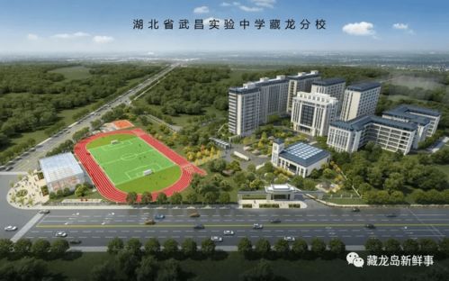 有網友建議將藏龍島這所正在建設的學校,從私立改成公立辦學