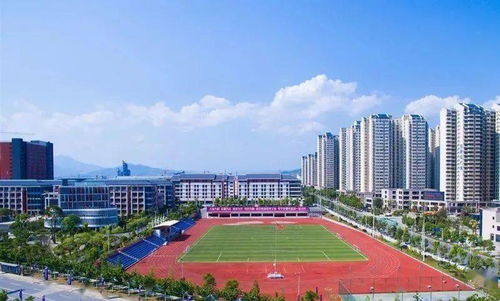 安康高新區2021年小學學區范圍公布