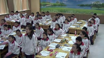 第三節(jié)合理膳食與食品安全 初中生物 濟(jì)南社2011課標(biāo)版 七年級下冊 免費體驗