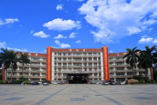 博羅中學今年高一新生報名現場