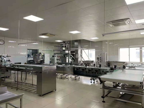 金山工業區證件齊全園區食品廠加工廠轉讓