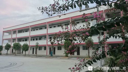 咸寧市第六初級中學 學“法”用“典”，弘揚法治精神