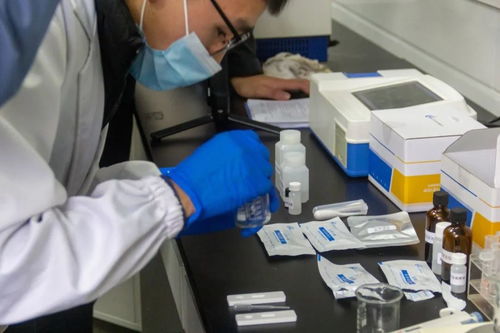 校園溫情顯實力 從'魚真好吃'看西農如何實力寵師生