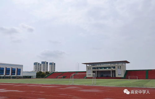 高安中學 春暖花開，校園春光無限好