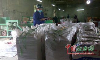 南昌縣黃馬中學旁樹木大量死亡 居民疑與無證筷子廠排污有關